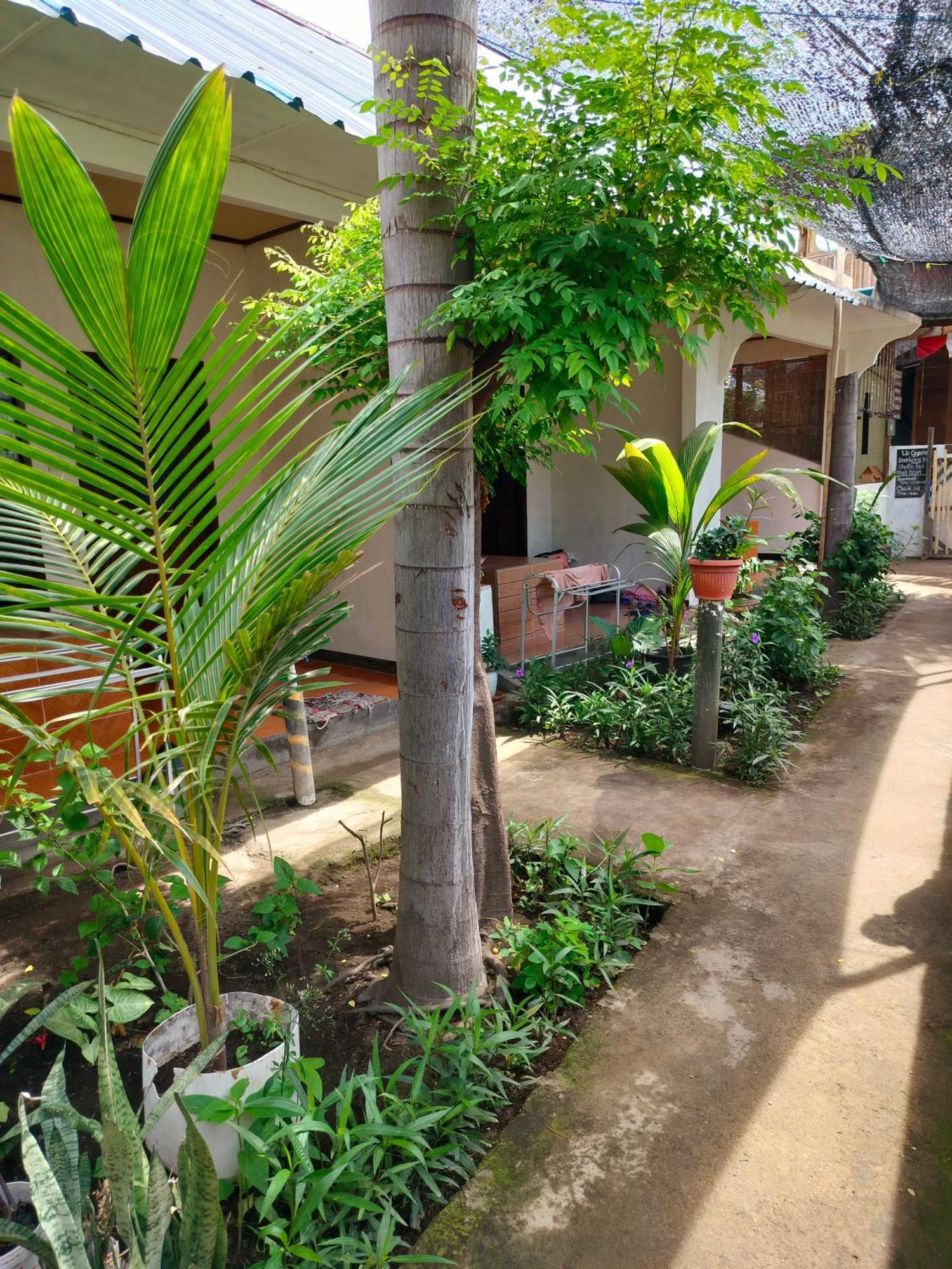 Aladdin Homestay Gili Air Zewnętrze zdjęcie