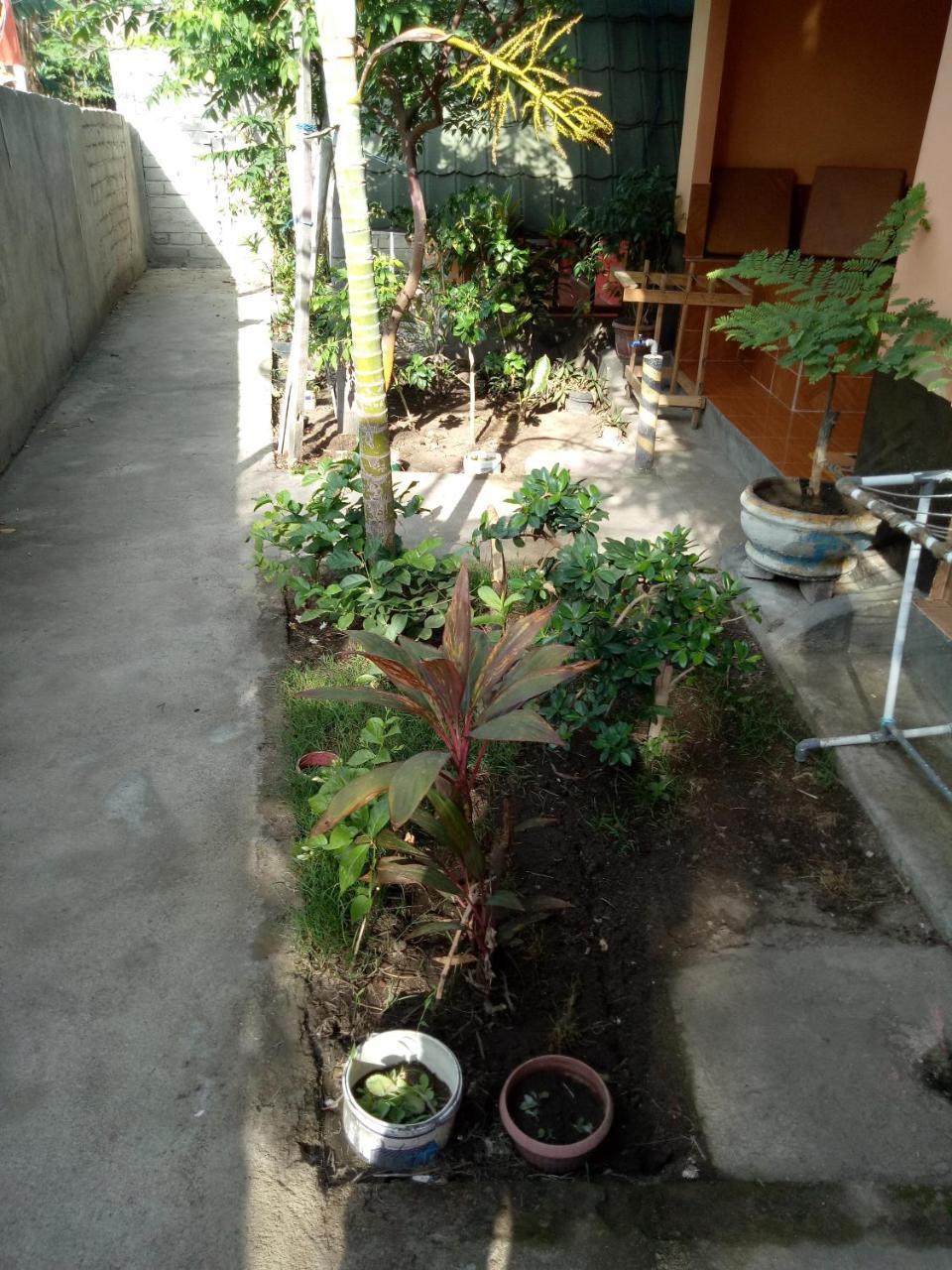 Aladdin Homestay Gili Air Zewnętrze zdjęcie